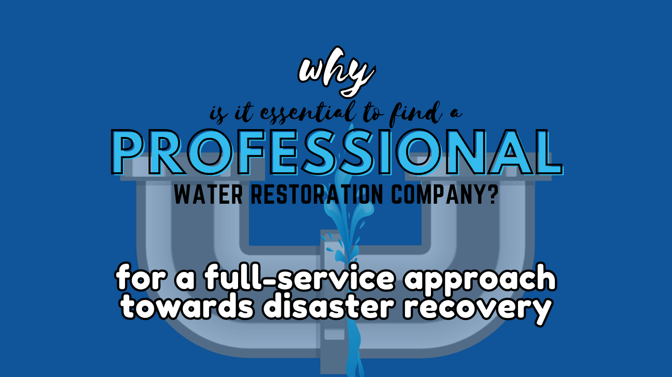 How to Find a Reputable Water Damage Restoration Company